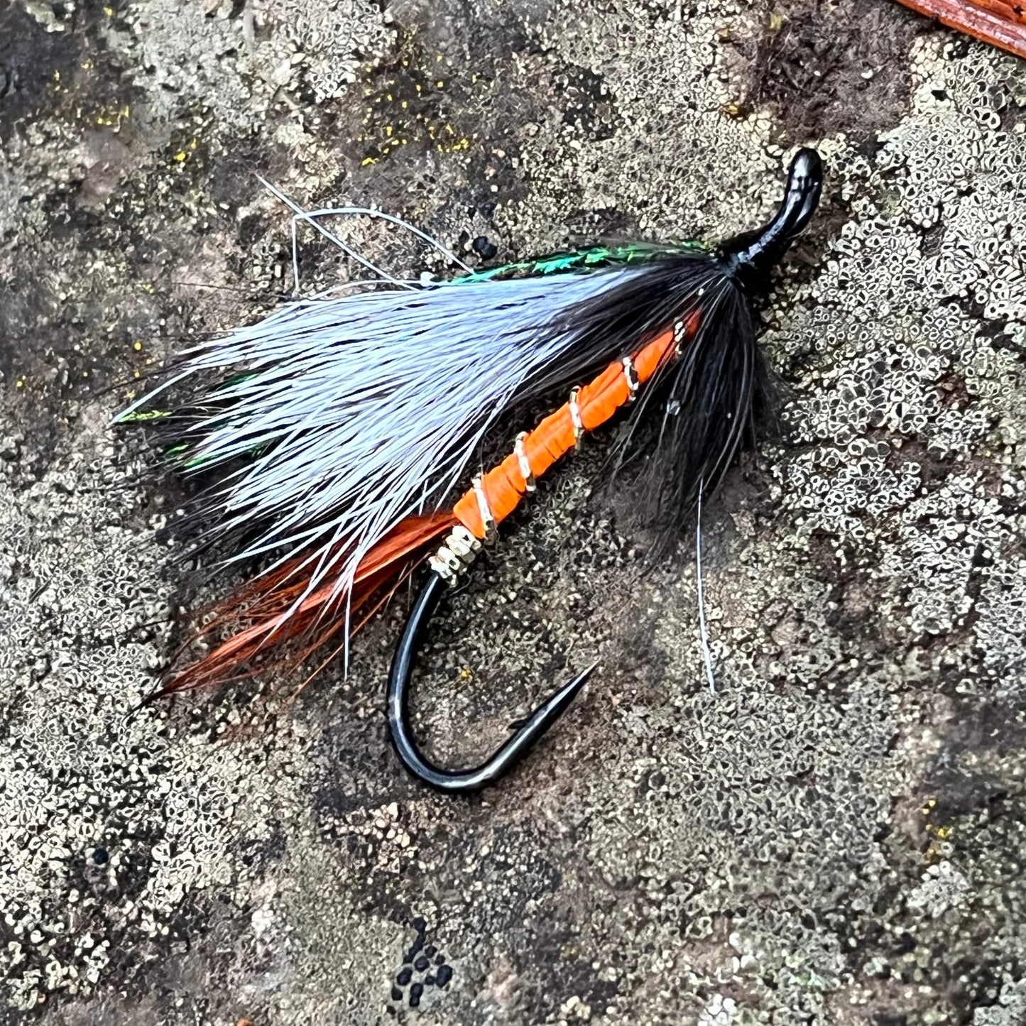 Cosseboom Orange