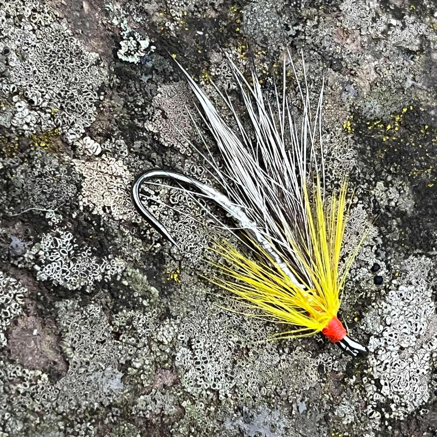 Cosseboom Silver