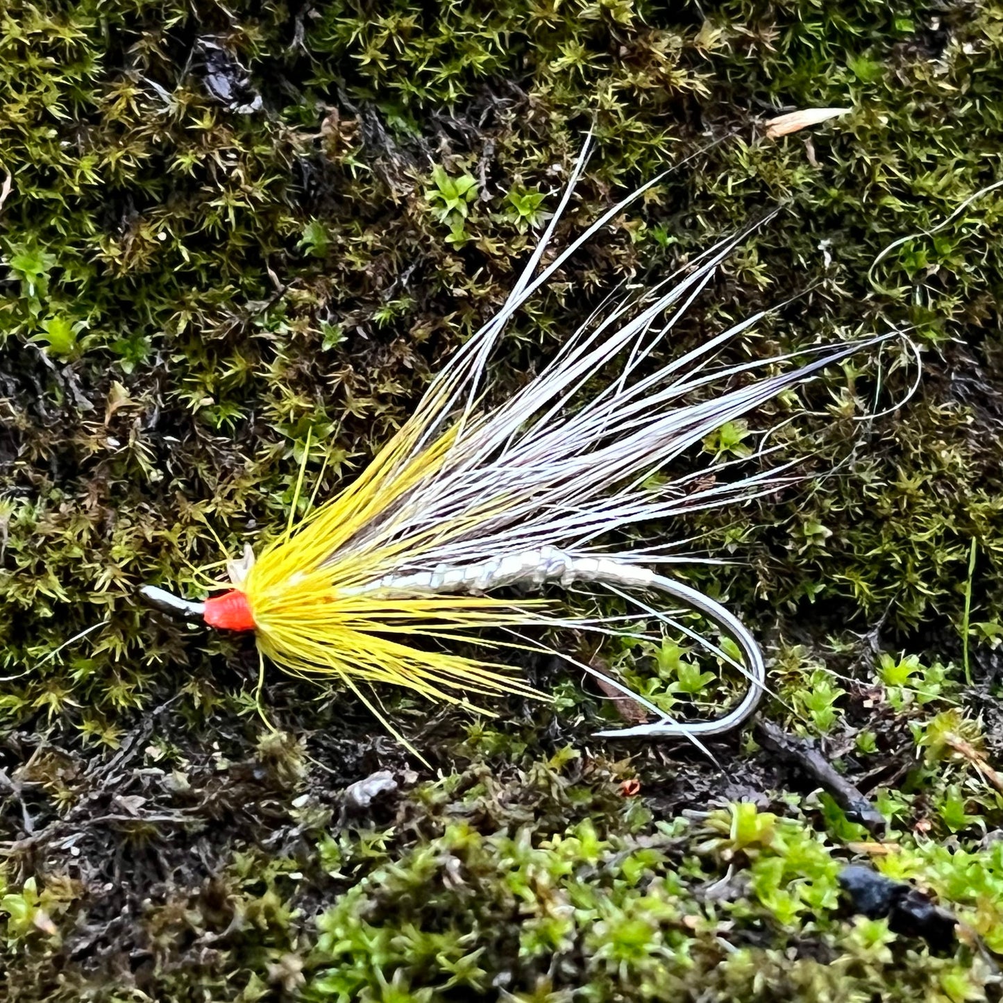 Cosseboom Silver