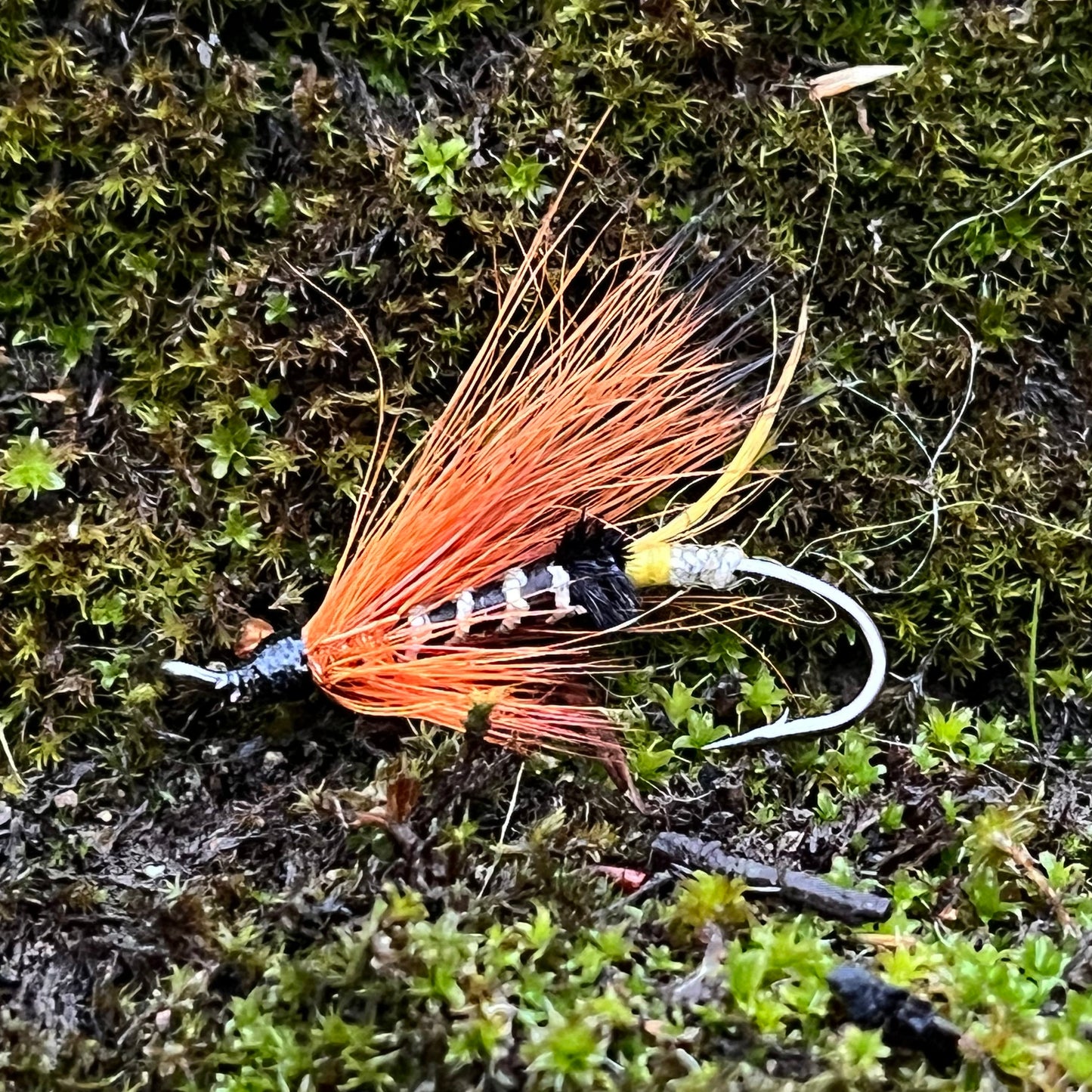 Orange Charm