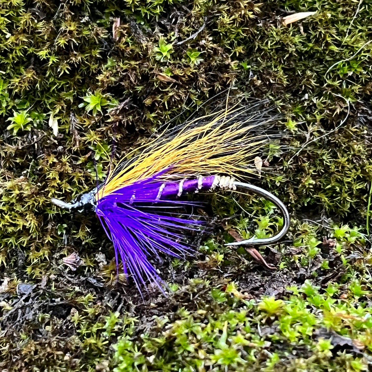 Purple McBain