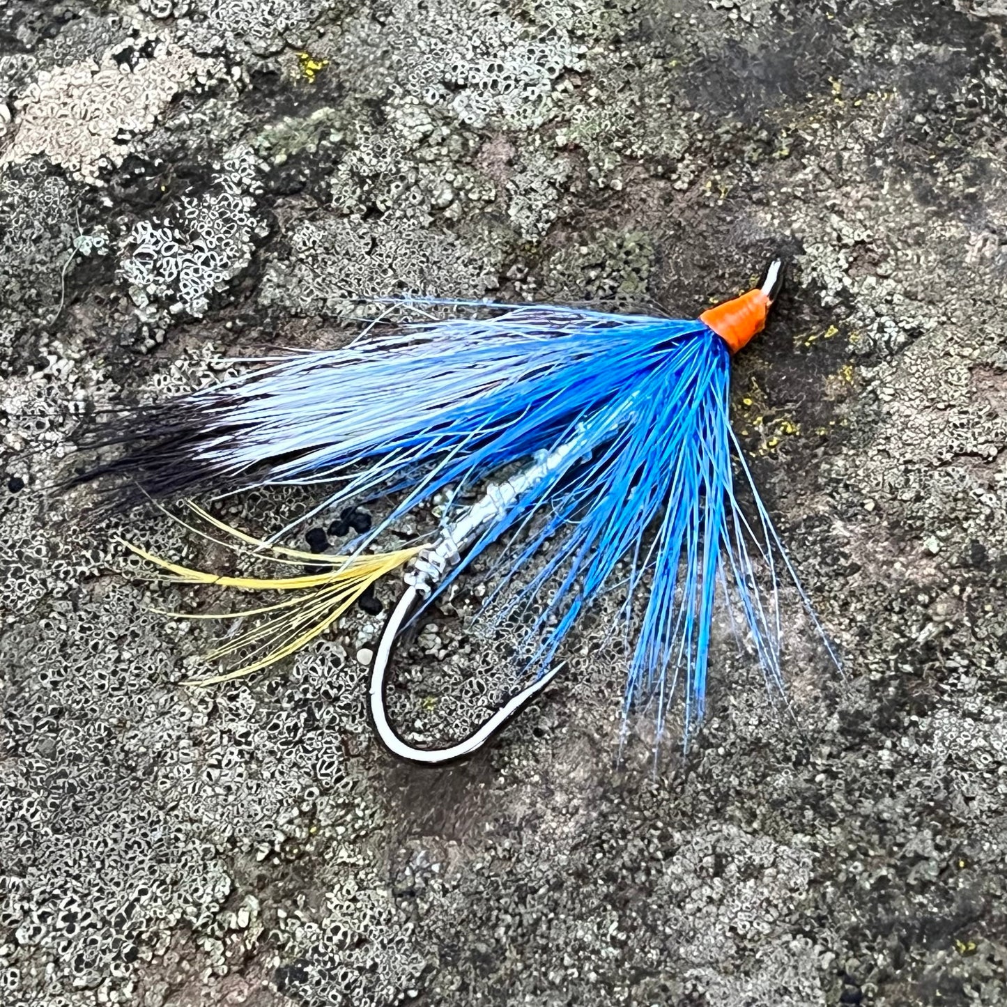 Silver Blue