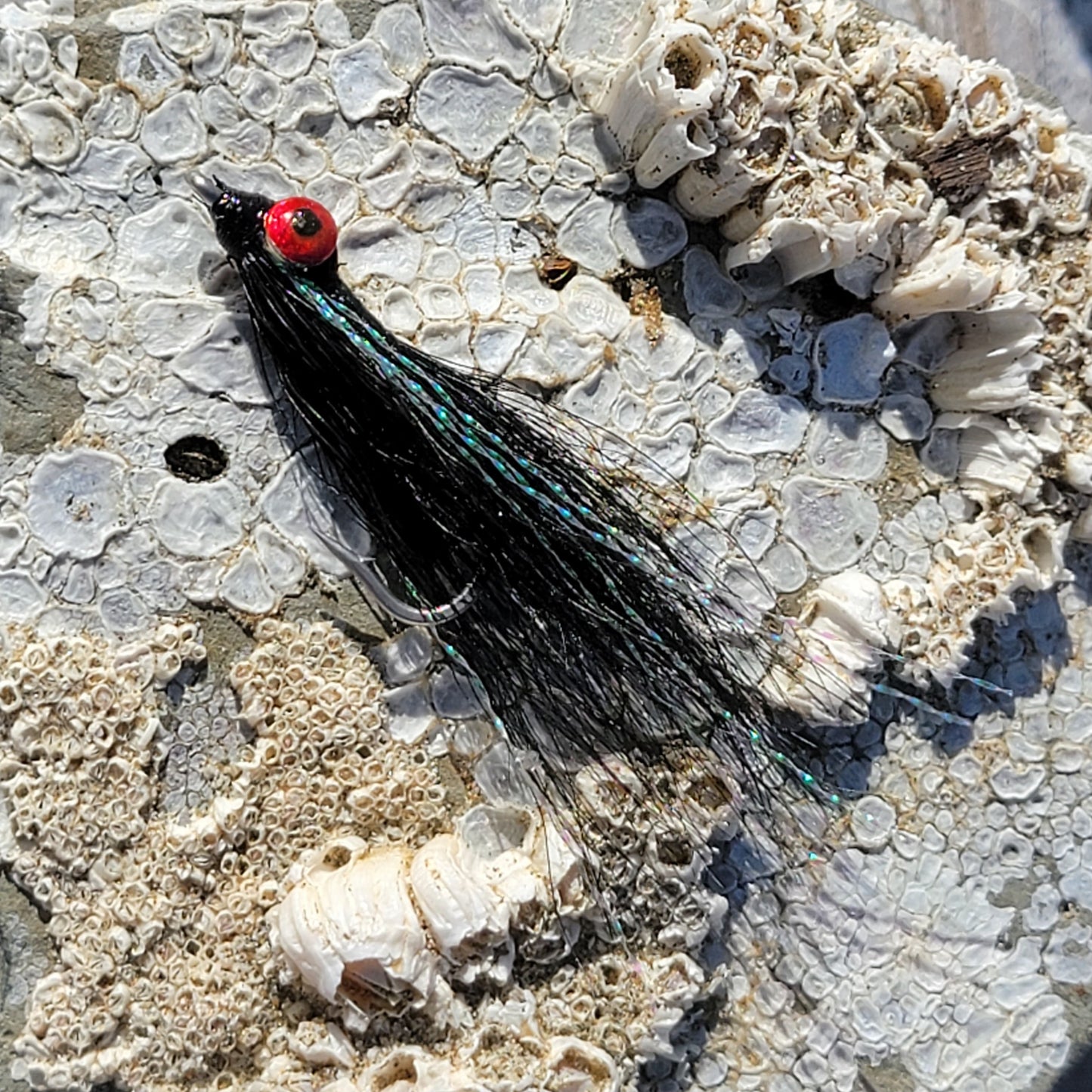 Clouser Minnow Black | Size #2/0 | Saltwater