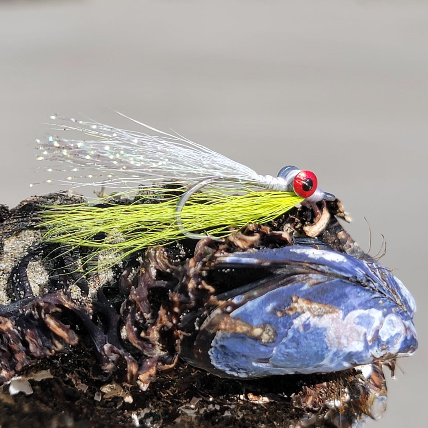 Clouser Minnow White Chartreuse | Size #2/0