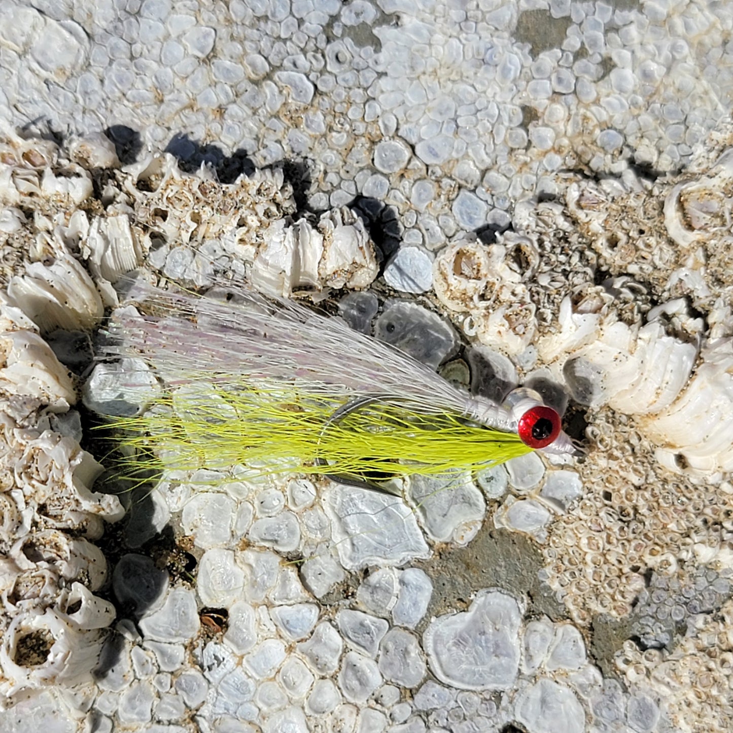 Clouser Minnow White Chartreuse | Size #2/0
