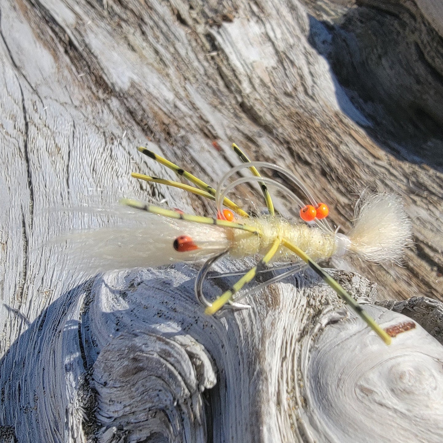 Sand Prawn | Size #4